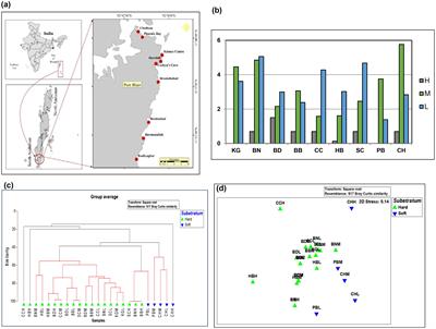 Unveiling the enigmatic cone snails along the coastal environments of the South Andaman Islands: diversity, distribution and their habitat preference